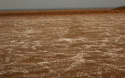 Памятник природы. Озеро Эбейты